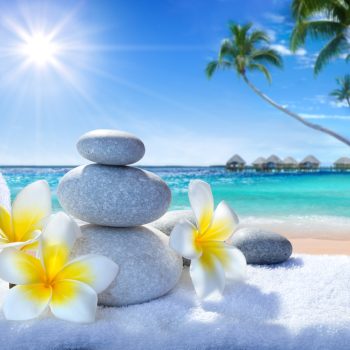 Décoration zen, ambiance spa, plage, fleurs, galets zen